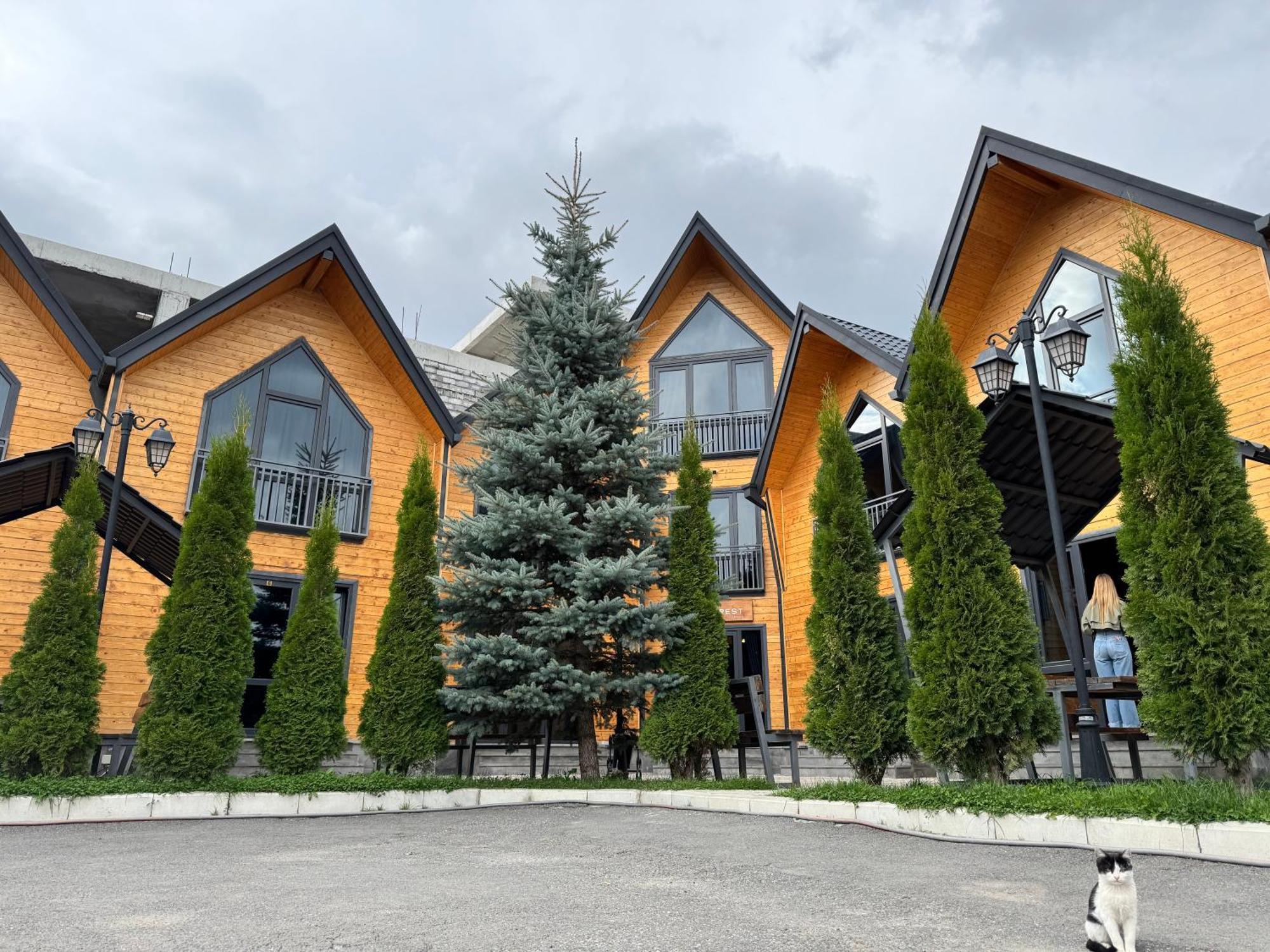 Everest Rest House تساجكادزور المظهر الخارجي الصورة